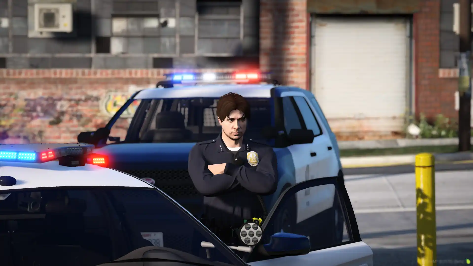 Walteria Impression 1